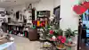 a room with a shelf of wine and plants