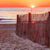 a fence on a beach