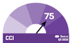 CCI 2018 Q4 - Gauge