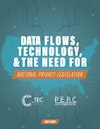 Data Flows Report Cover