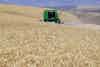 Terminating NAFTA Would Devastate American Agriculture: The View of a Wheat Farmer