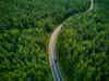 Aerial view of a car on a winding road through a forest