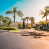 a street with palm trees and houses